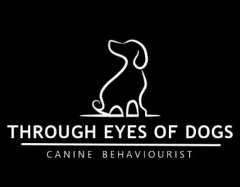 Through Eyes of Dogs